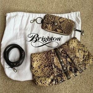 Brighton Snake Print Clutch and Wristlet Set - Brown and Black